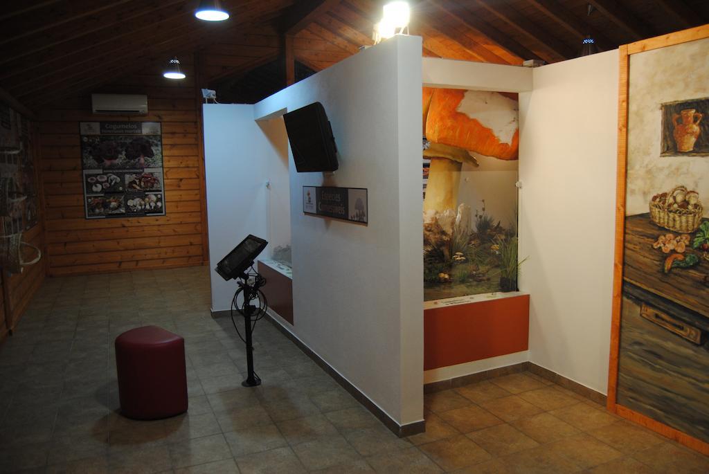 Parque Biologico De Vinhais Exterior photo